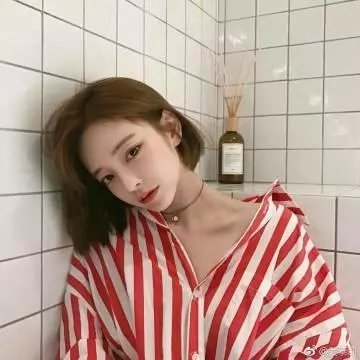 红猪配图